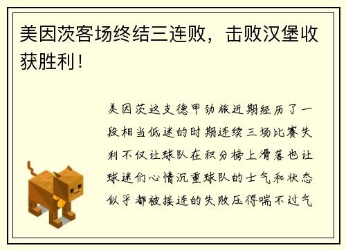 美因茨客场终结三连败，击败汉堡收获胜利！
